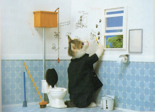 Illustration for article titled Popular Cat Meme Creator in Trouble with the Law